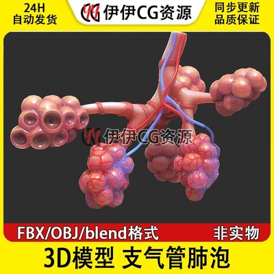 3D模型FBX医学结构解剖人体支气管肺泡解剖blend格式PBR材质OBJ