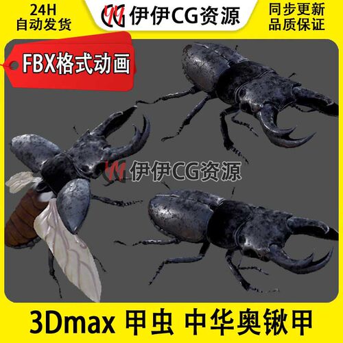 3DMax动物模型3D模型中华奥锹甲鹿甲虫昆虫FBX动文件甲虫带动画