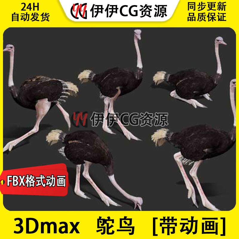 3D模型3DMax动物模型非洲鸵鸟FBX动画文件Ostrich