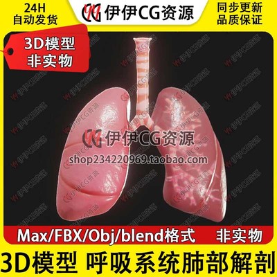 3D模型素材3Dmax医学呼吸系统肺人体肺部组织支气管肺泡喉管肺叶