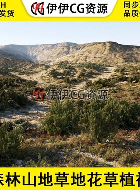 虚幻5UE4森林山地草地花草植被岩石头场景MW Shrubs and Bushes