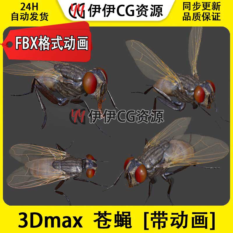 3D模型3DMax动物昆虫苍蝇家蝇青蝇害虫FBX动画文件flies蚊子四害