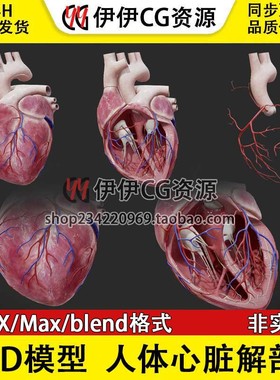 3D模型FBX医学结构解剖人体心脏解剖blend格式PBR材质心脉横截面