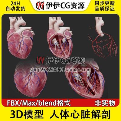 3D模型FBX医学结构解剖人体心脏解剖blend格式PBR材质心脉横截面