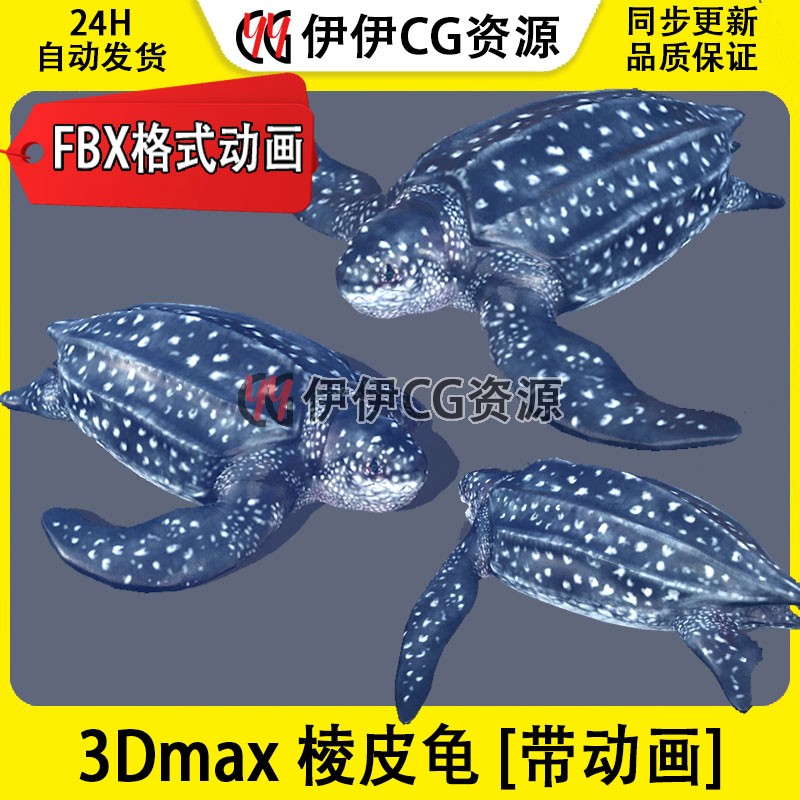 3D模型3DMax棱皮龟海龟乌龟巨龟海洋FBX动画文件Turtle革龟燕子龟