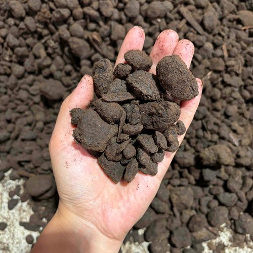 牛羊粪大颗粒块状含杂质 腐熟度不均匀 地栽用 残次品