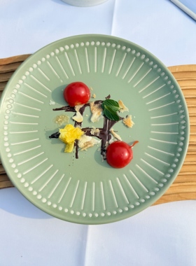 北欧风陶瓷盘子菜盘家用高级感绿色竖条纹装饰简约西餐厅点心盘