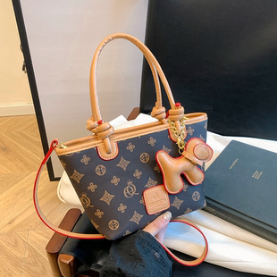 小众设计包女大容量新款春夏复古手提包高级感百搭单肩斜挎菜篮包