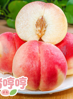 【猪哼哼】脆甜鲜甜桃子好吃脆爽 一只不平凡的猪哼哼的淘宝店up