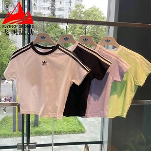 阿迪达斯三叶草女装2026夏经典三条纹宽松短款插肩短袖T恤 JC8704