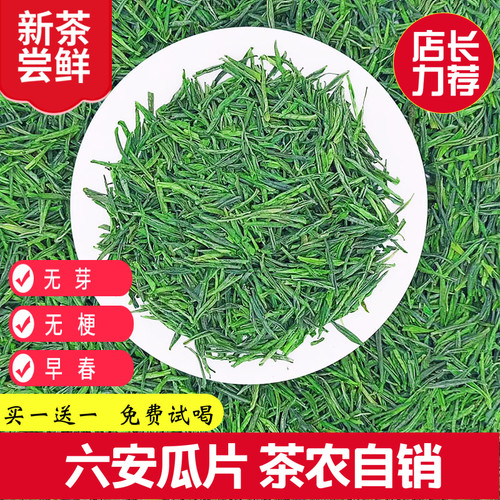 六安瓜片2025新茶安徽茶叶