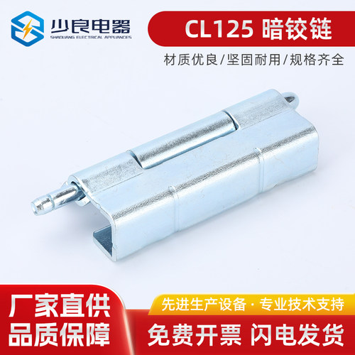 CL125镀锌暗铰链配电箱门合页