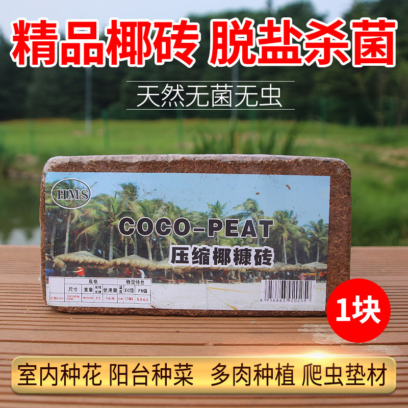 进口多肉种菜椰砖土包邮