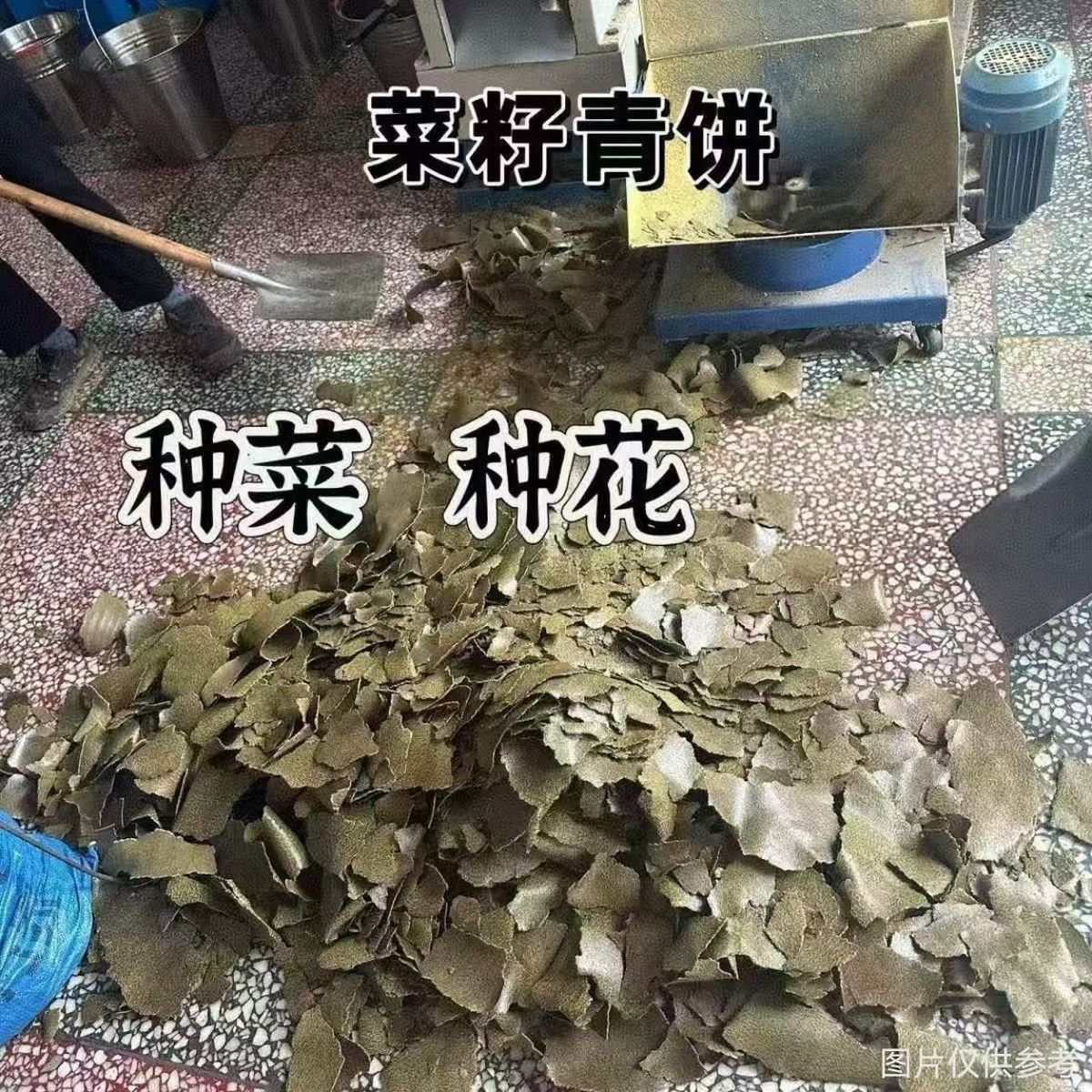 植物肥料种菜花肥农用饼粉菜籽饼打窝油菜枯饼油渣发酵肥菜籽油饼
