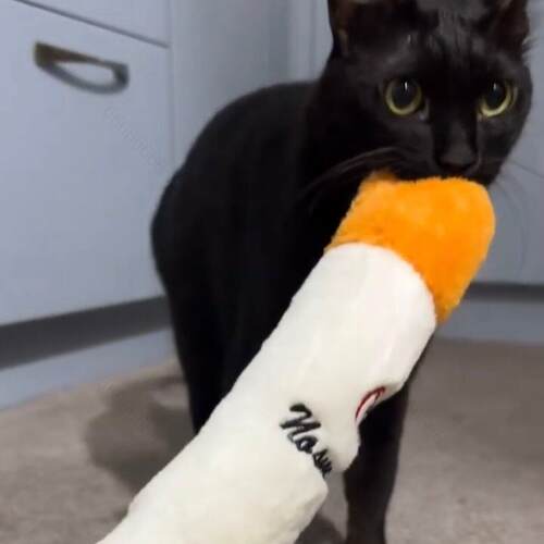 香烟玩具发声毛绒逗猫棒