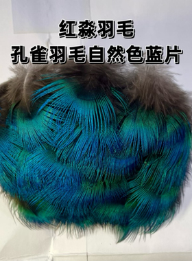 红淼孔雀毛自然色蓝片厂家直销