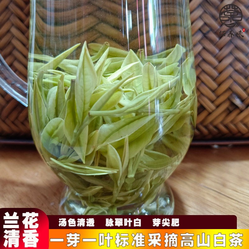 2026年高山白茶遂昌兰花香茶叶凤型浙江明前绿茶高氨基酸针型茶叶
