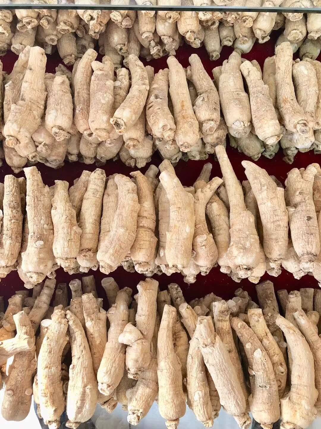 东北长白山正宗西洋参段花旗参大枝整支250克10支可切片打粉包邮