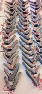 山野珍品梅花鹿头茬二杠干鹿茸整根连刀