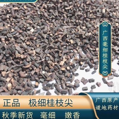 秋枫广西桂枝袋选桂枝