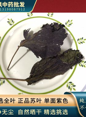 紫苏叶 新货苏叶正品无硫 捆齐 大张正宗紫色苏叶