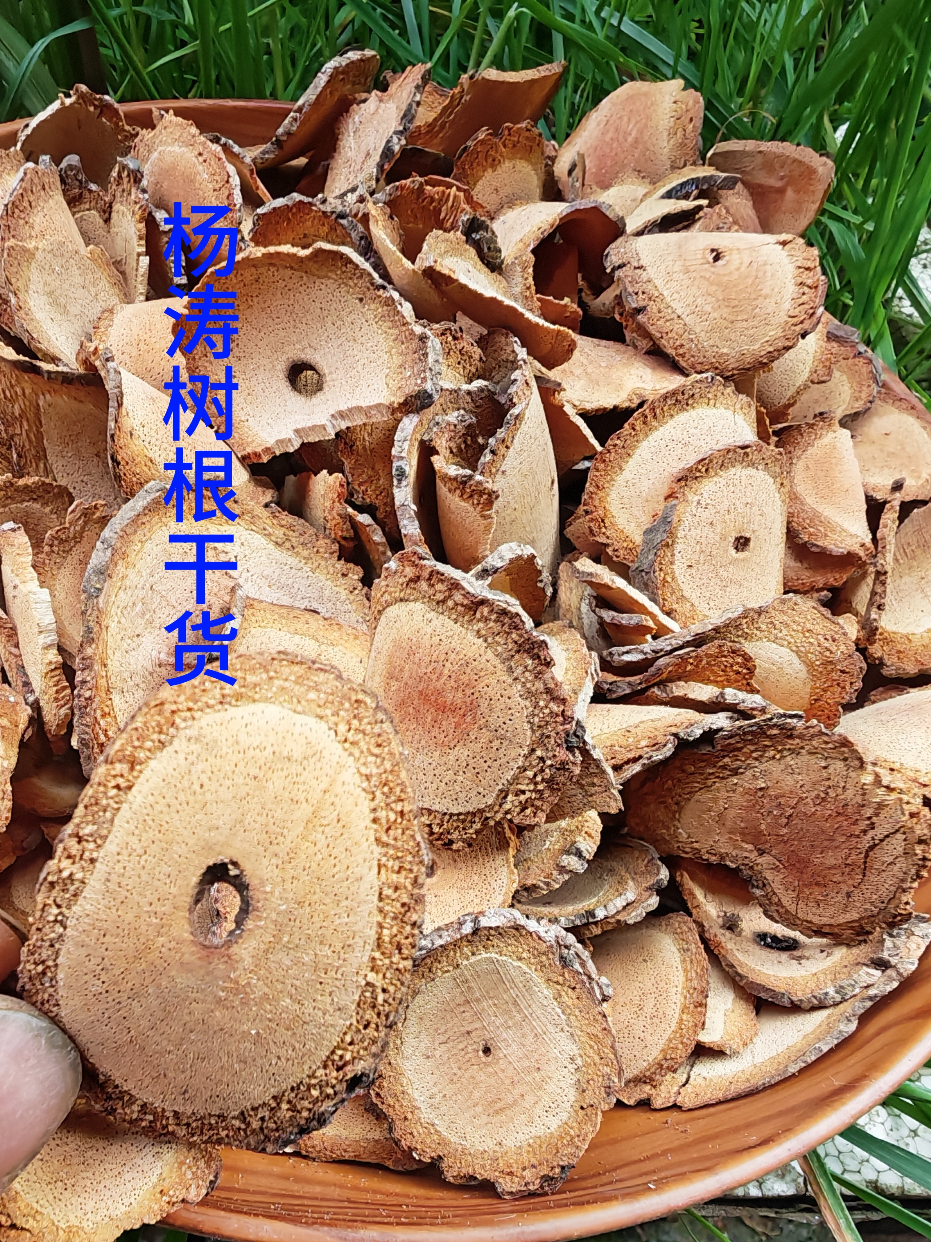 野生杨桃树根中药材杨桃根包邮切片干品酸杨桃树根 干货包邮