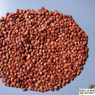 炒酸枣仁袋泡茶30袋100%纯酸枣仁 山枣仁 酸枣 酸枣核包邮