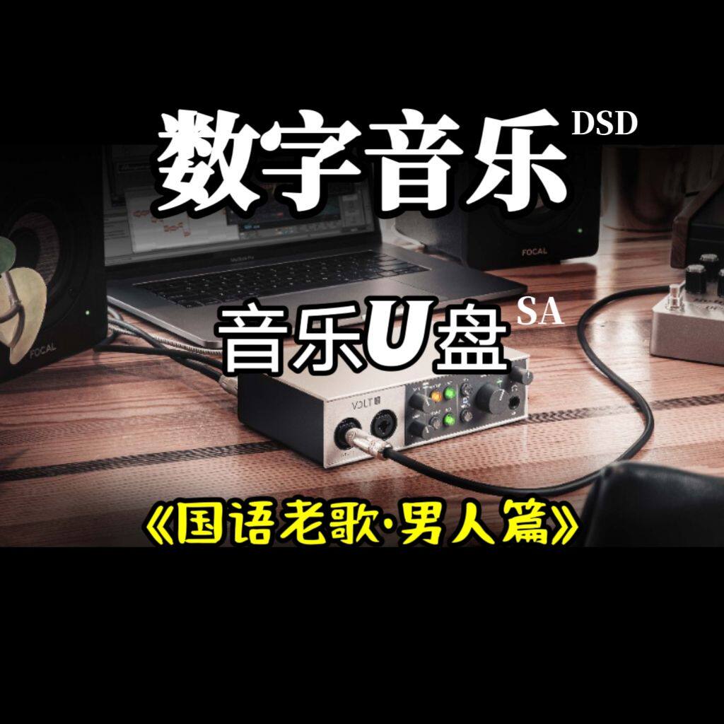 DSD数字音乐u盘国语老歌立体分轨环绕重低音家用车用车载解读解码