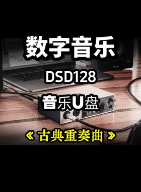 DSD数字音乐u盘古典重奏曲立体声分轨环绕重低音家用车用车载解码