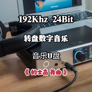 192khz24bit转盘数字音乐u盘的士高舞曲中文无损wav立体分轨解码