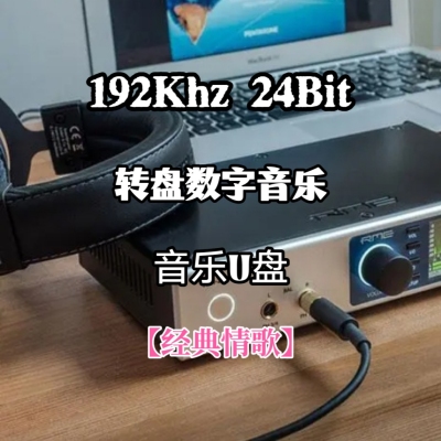 192khz24bit转盘数字音乐u盘经典情歌无损wav立体分轨解读解码