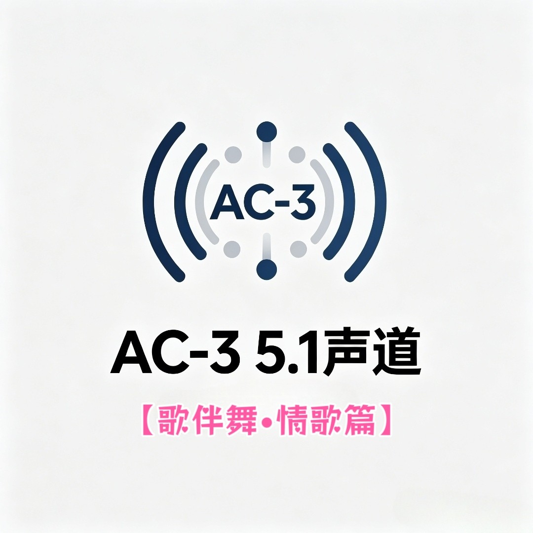 AC-3 5.1声道歌伴舞情歌类视频音乐u盘家用车用车载解码普清ac3