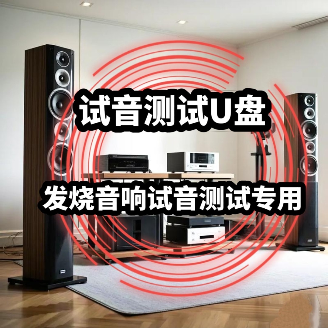 室内发烧音响测试试音专用U盘无损立体分轨环绕高音中音重低音