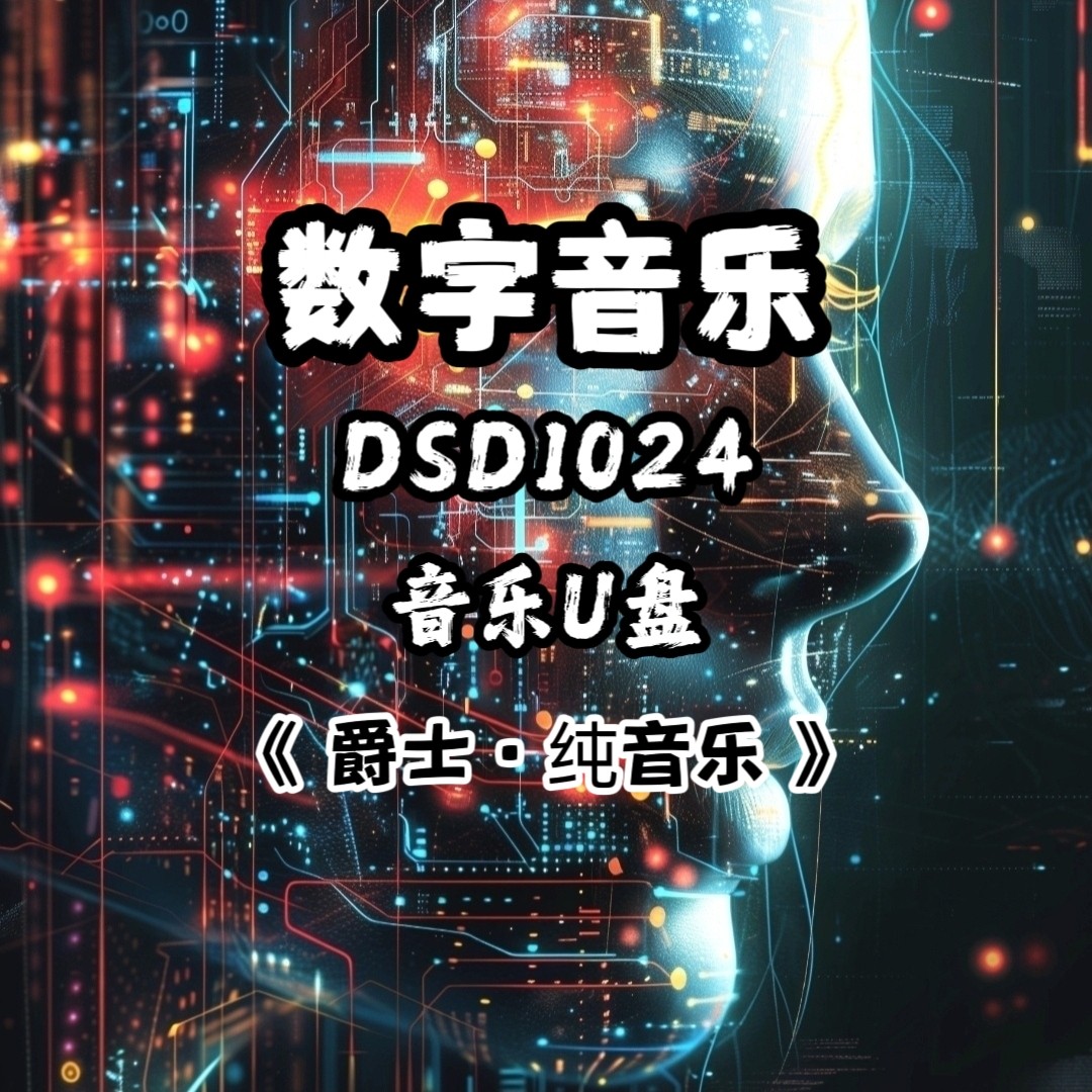 DSD数字音乐u盘爵士纯音乐超高解析度立体声分轨环绕家用车载解码