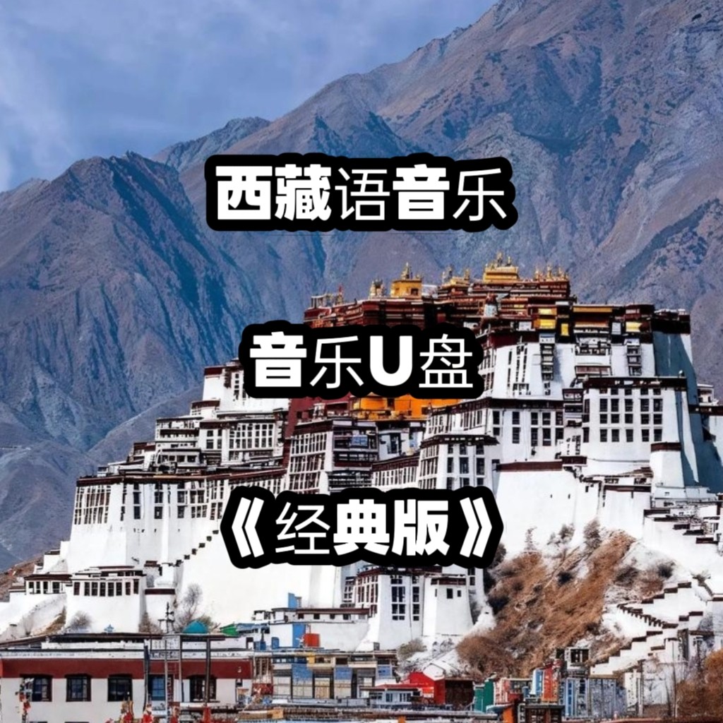 西藏语音频音乐U盘本土情歌民歌舞蹈高品质mp3立体环绕优盘