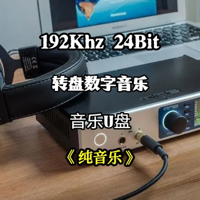 192khz24bit转盘数字音乐u盘纯音乐乐器演奏无损wav立体分轨解码