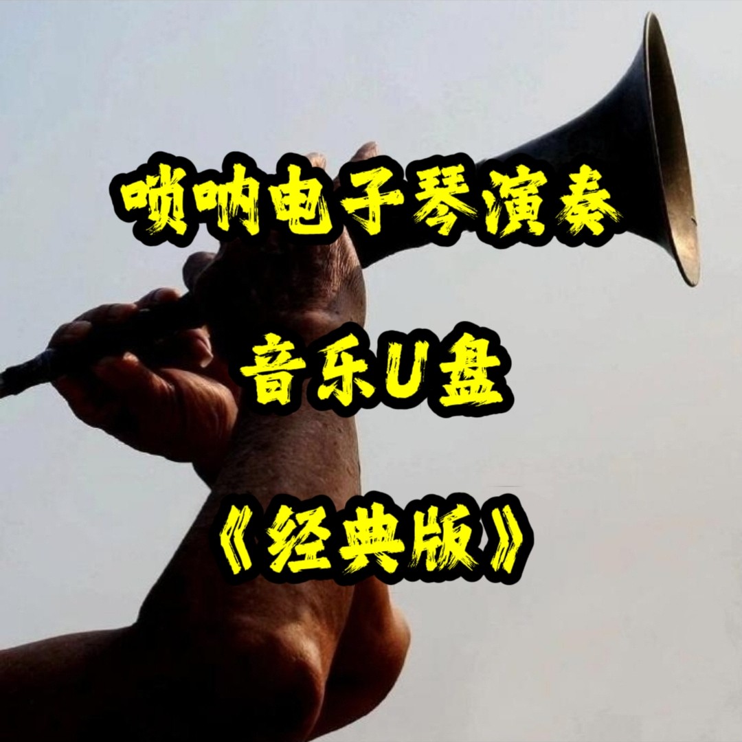 经典唢呐电子琴伴奏演奏纯音乐u盘民乐立体环绕重低音车载车用mp3