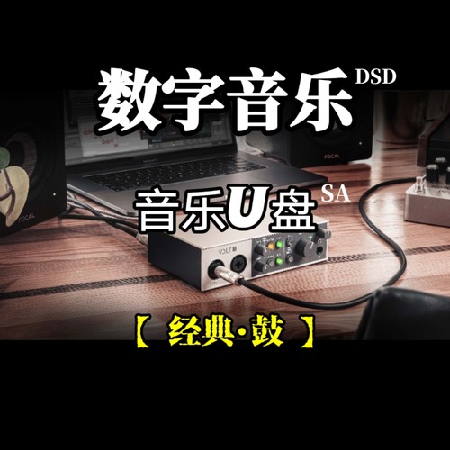 DSD数字音乐u盘经典鼓民乐立体分轨环绕重低音家用车载解读解码