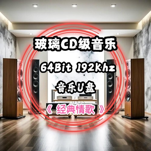 64bit192khz转盘数字音乐u盘发烧级经典情歌无损wav立体分轨解码