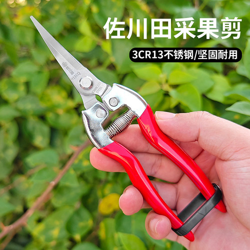 佐川田采果剪稀果剪葡萄疏果剪修花修枝剪西红柿花椒采摘摘果剪刀