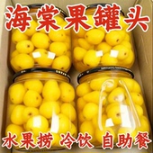 桃小妞100%新鲜海棠果罐头鲜甜开盖即食居家宿舍解馋零食510g 1罐