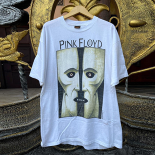 Pink Floyd专辑阿美咔叽潮牌短袖T恤美式复古post-punk炸街重磅棉