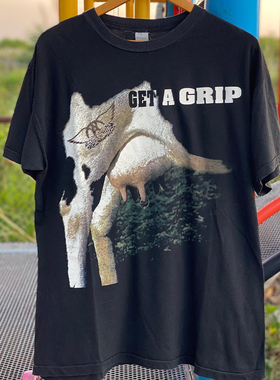 Aerosmith史密斯飞船乐队欧美高街摇滚chic嘻哈短袖男女重磅棉T恤