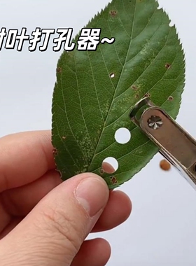 树叶打孔器手工DIY拍照氛围创意压花器学生手账打孔机