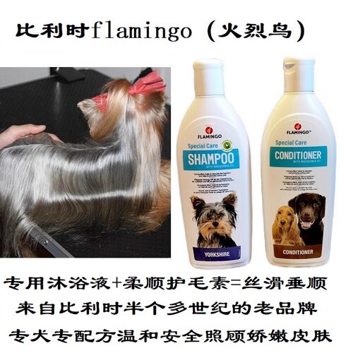 比利时fl约克夏犬专用洗护垂顺亮
