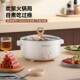 龙 HG313G家用电煮锅多功能锅电火锅电热锅小电锅学生煮面锅