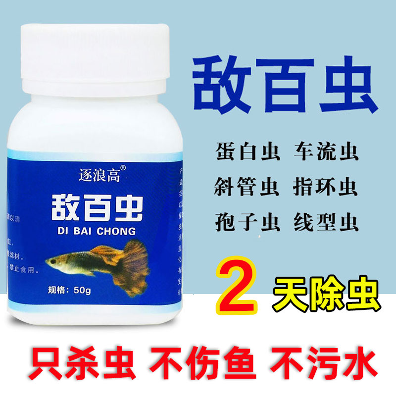 逐浪高满减优惠券养鱼常备