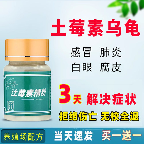 逐浪高乌龟专用药巴西龟白眼病