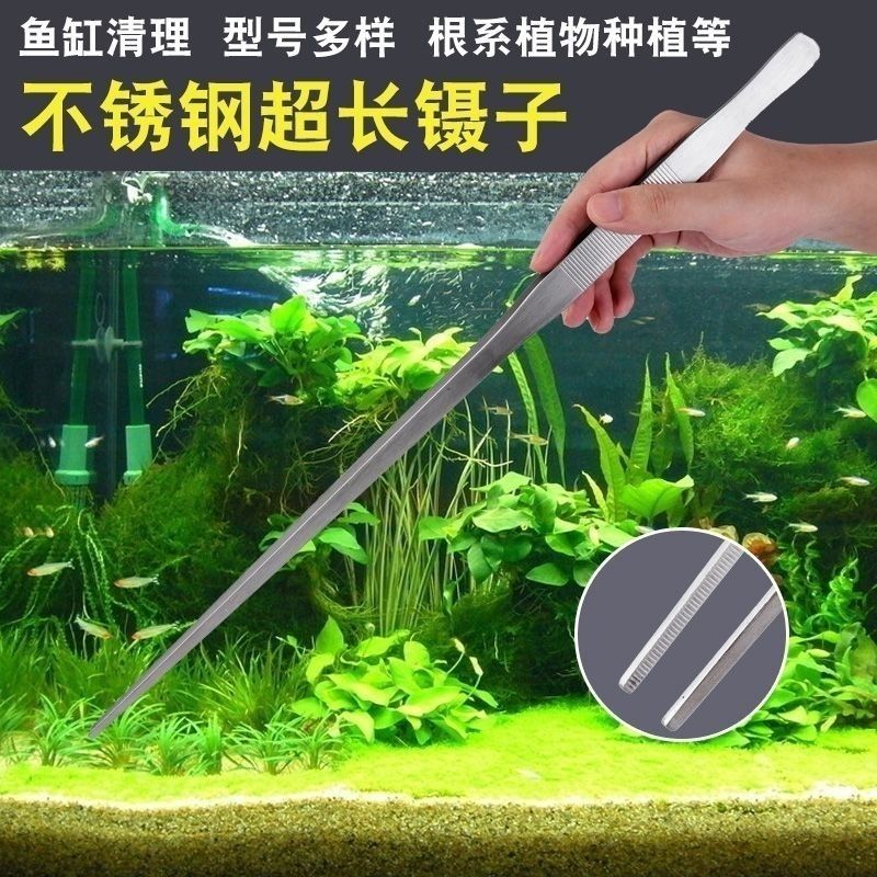 水草镊子25cm超长水草镊子不锈
