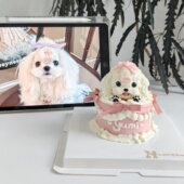 狗狗猫咪头像定制生日蛋糕 复古蝴蝶结宠物蛋糕 马尔济斯 4寸 3寸